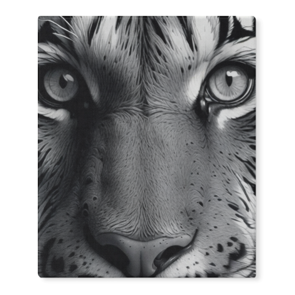 Black & White Tiger Photo - Image 10