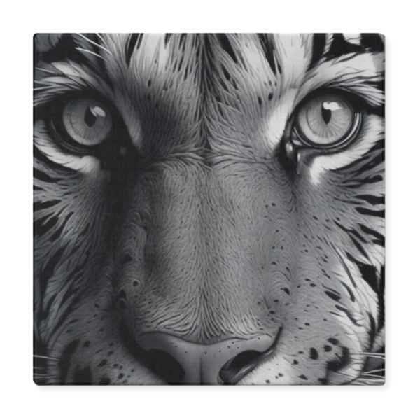 Black & White Tiger Photo - Image 8