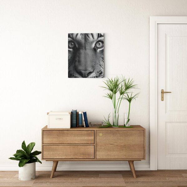 Black & White Tiger Photo - Image 17