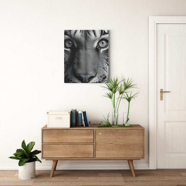 Black & White Tiger Photo - Image 21