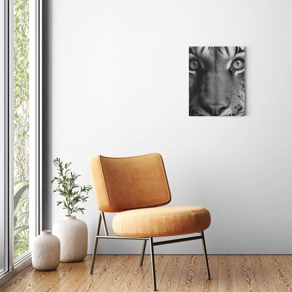 Black & White Tiger Photo - Image 4