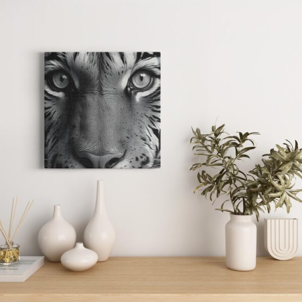 Black & White Tiger Photo - Image 3