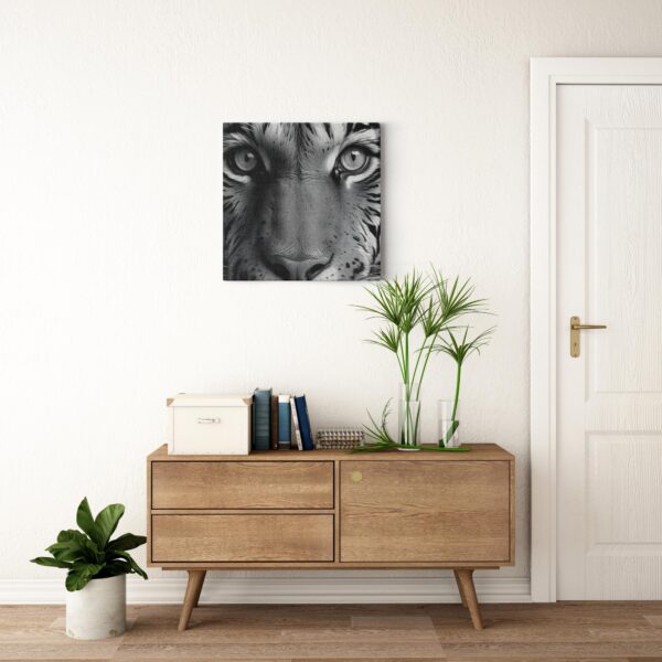 Black & White Tiger Photo - Image 19