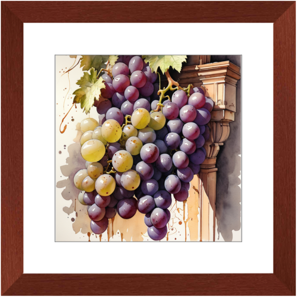 Watercolor Mixed Grape
