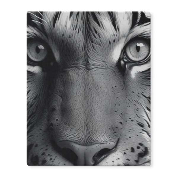 Black & White Tiger Photo - Image 9