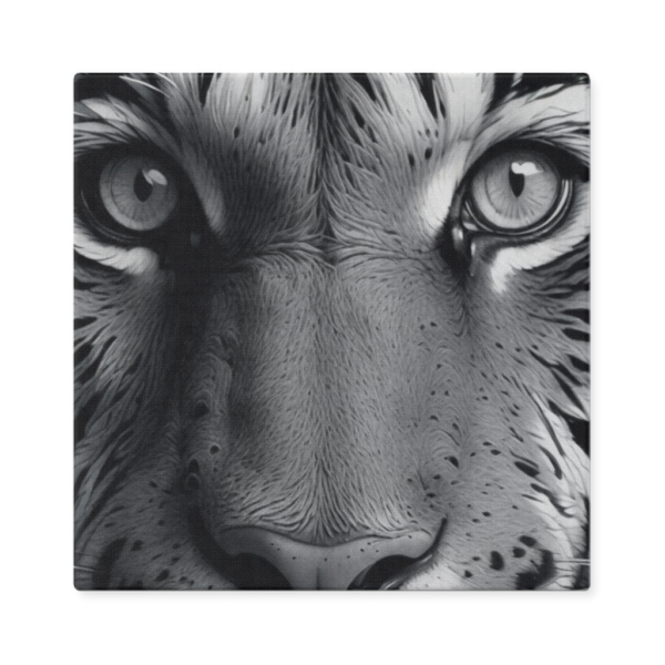 Black & White Tiger Photo - Image 7