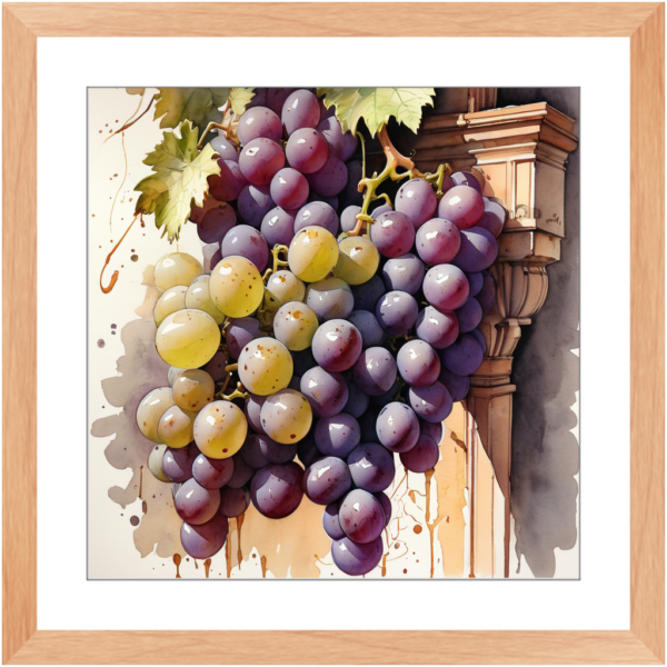 Watercolor Mixed Grape - Image 10