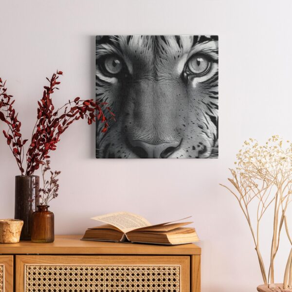 Black & White Tiger Photo - Image 15