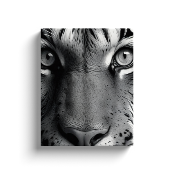 Black & White Tiger Photo - Image 14