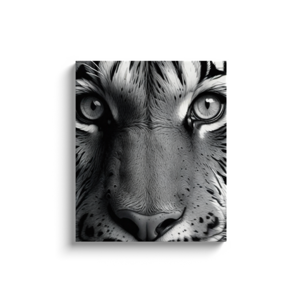 Black & White Tiger Photo - Image 22