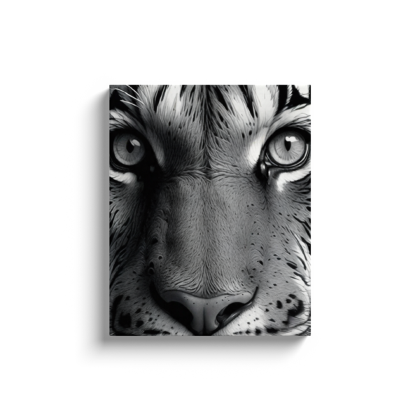 Black & White Tiger Photo - Image 18