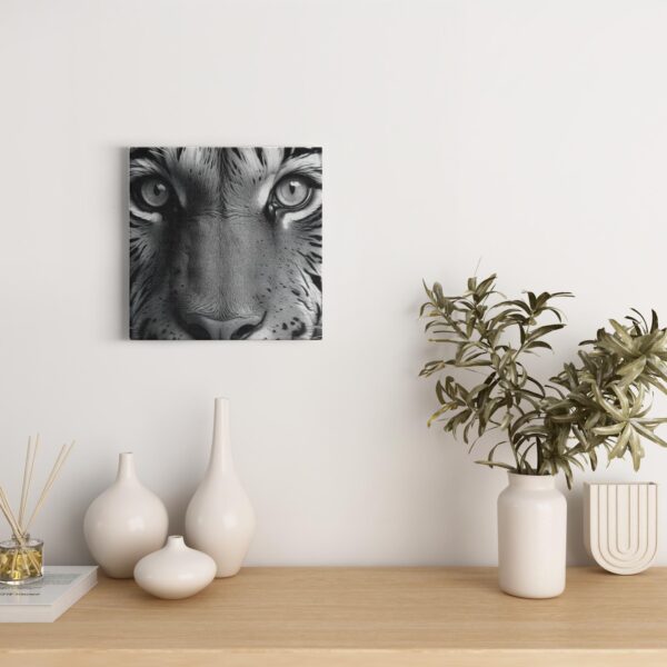 Black & White Tiger Photo
